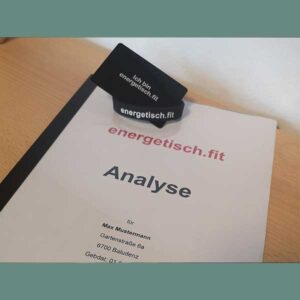 energetisch.fit Analyse